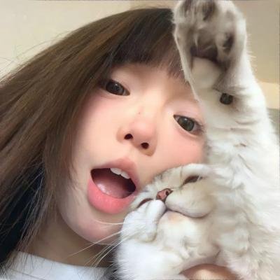 继承者风云